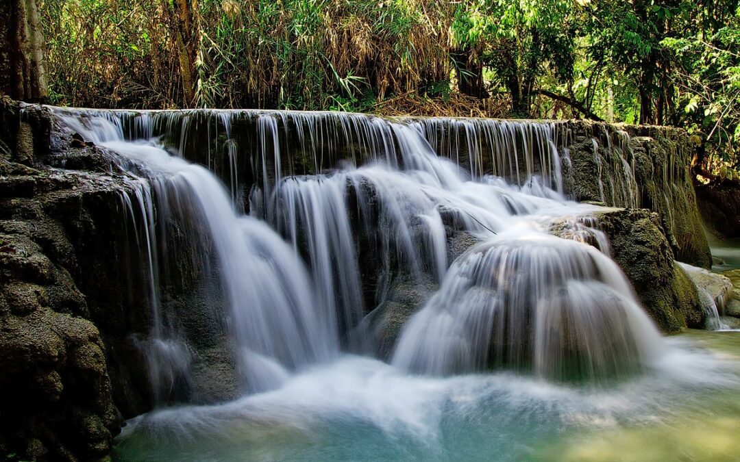 water and nature stream