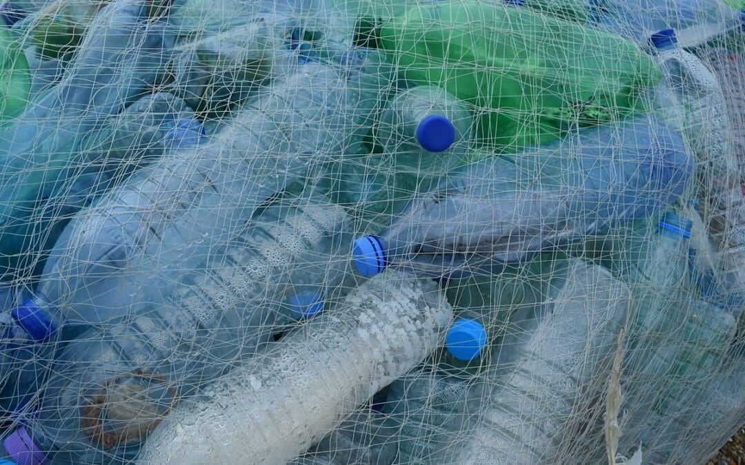 plastic bottles