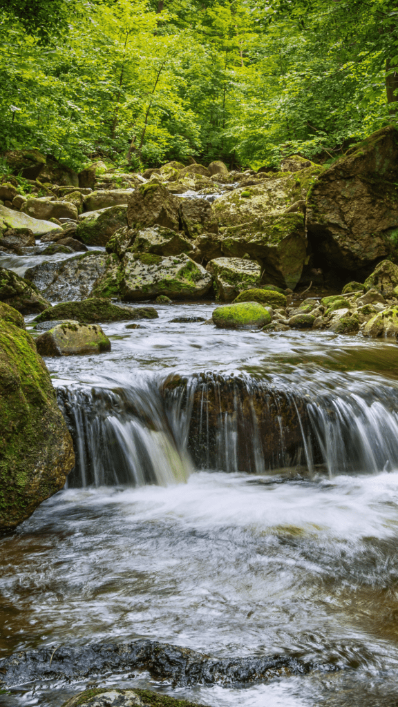 This is an image of a rocky stream with moss covered rocks and boulders. It is reminder of what we are working to preserve. 