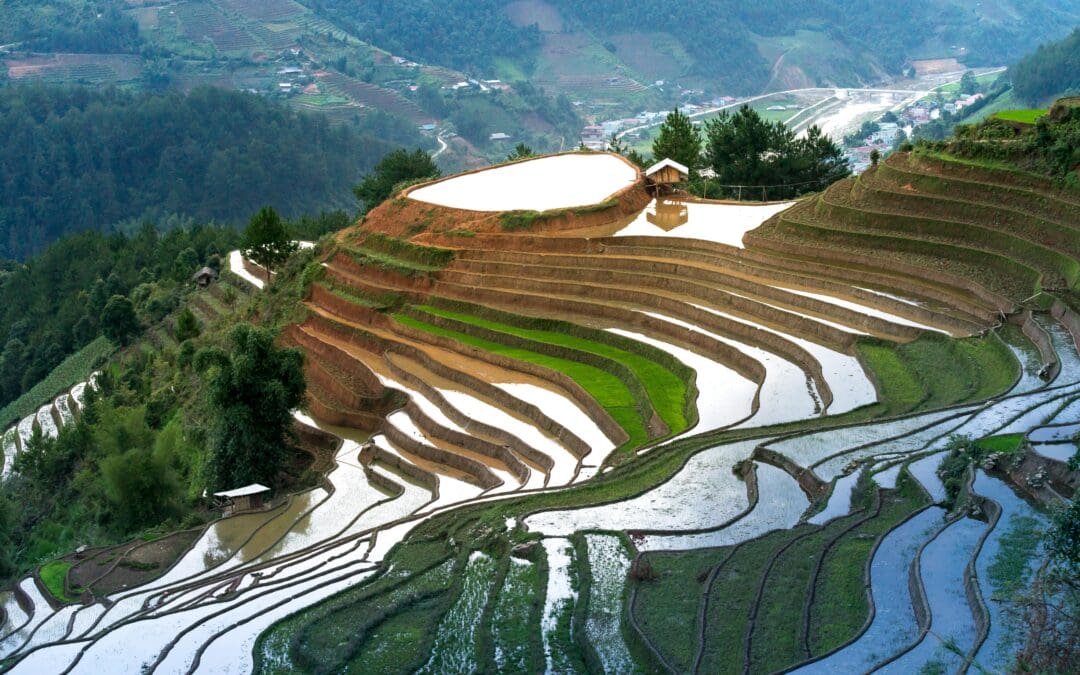 World Water Day 2024 water stewardship freshpurewaters terraced farming